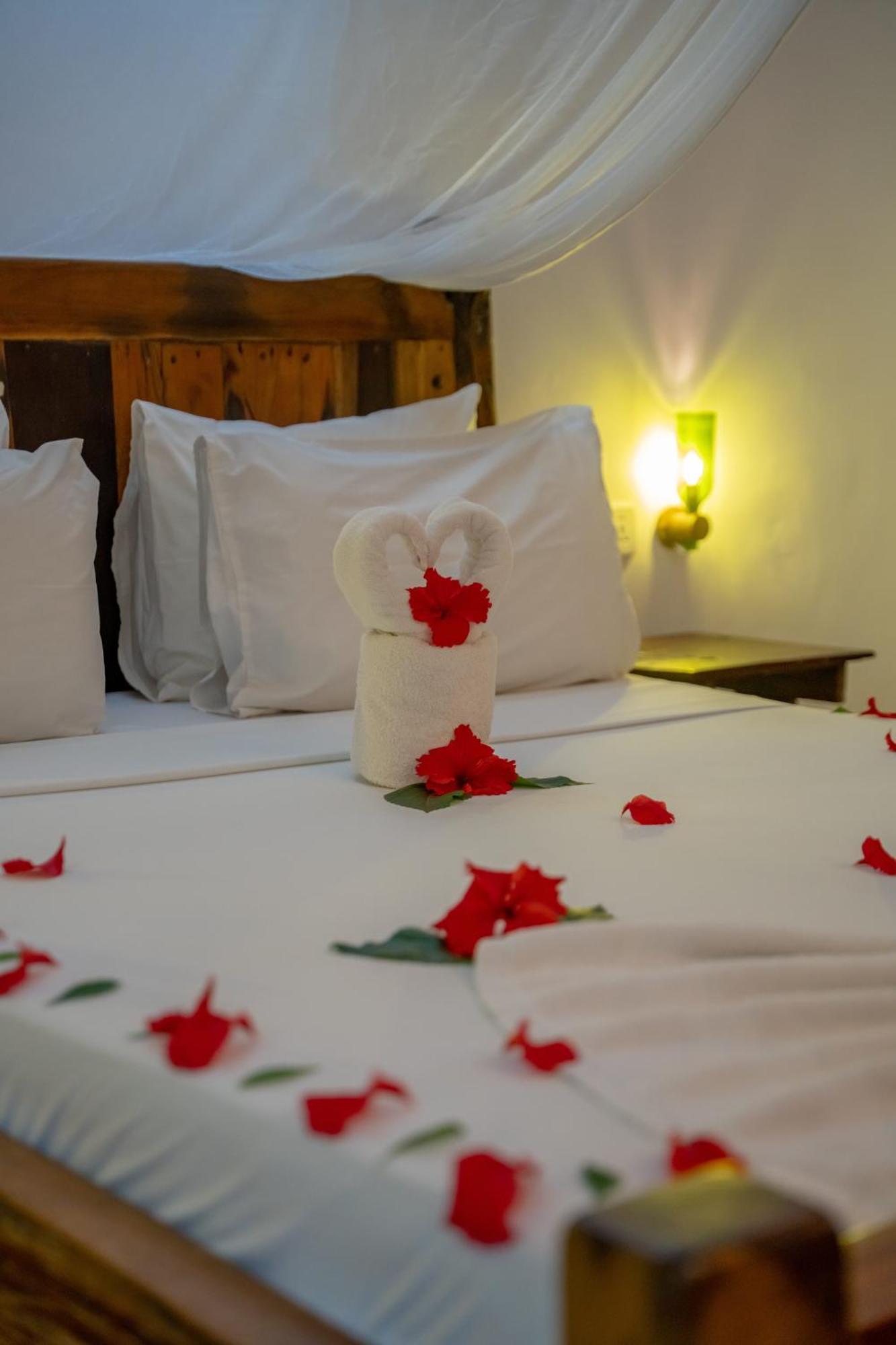 Maisha - Boutique Hotel Nungwi